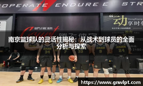 熊猫体育南京篮球队的灵活性揭秘：从战术到球员的全面分析与探索