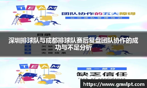 熊猫体育深圳排球队与成都排球队赛后复盘团队协作的成功与不足分析
